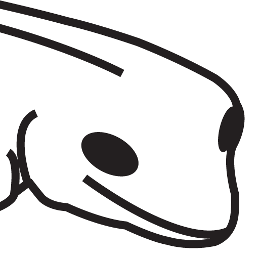 GRMrGecko